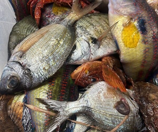 La Bastide – Restaurant La Capte Hyères à Hyères, France