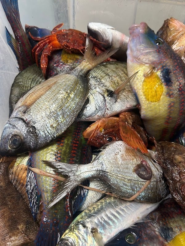 La Bastide – Restaurant La Capte Hyères à Hyères, France