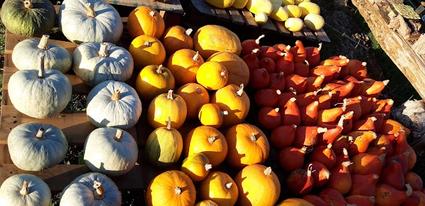 Restaurant La Ferme de Noé à Trets, France