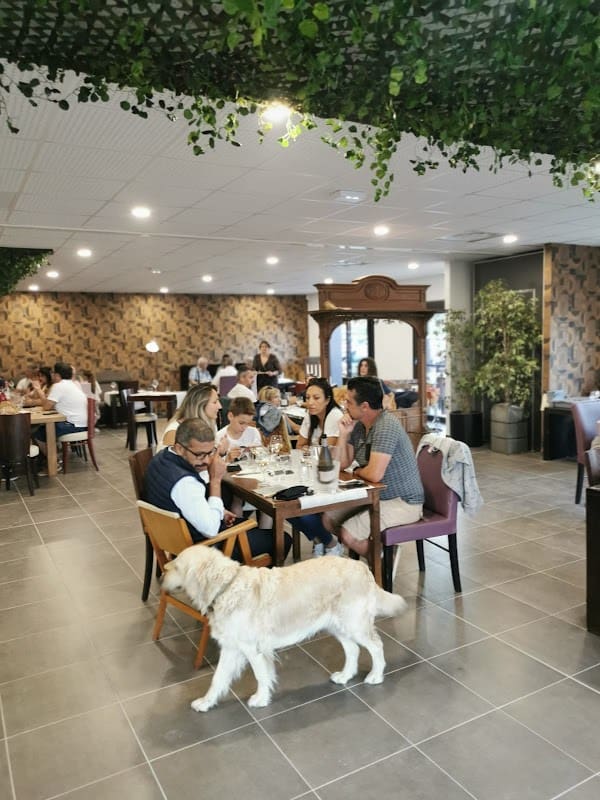 Restaurant La vieille Dame à Saint-Laurent-de-la-Cabrerisse, France