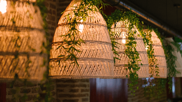 Restaurant Le Chien Rouge à Albi, France