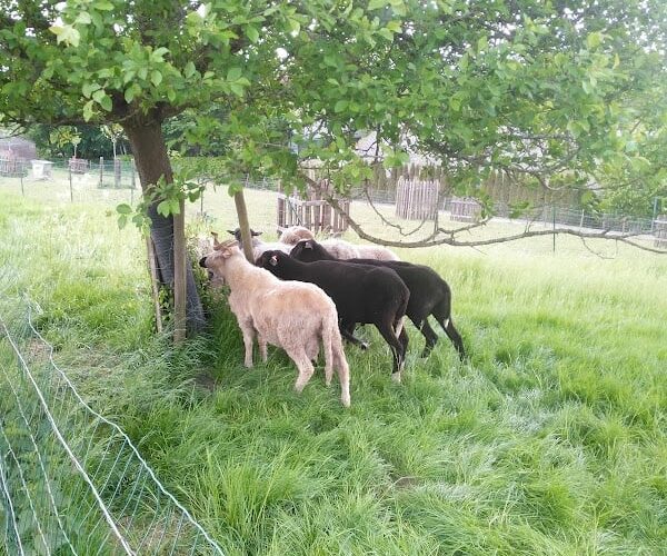 Restaurant Le Clos Marine à Bastogne, Belgique