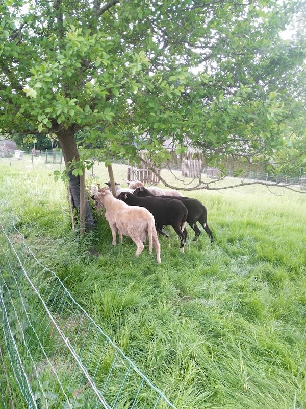 Restaurant Le Clos Marine à Bastogne, Belgique