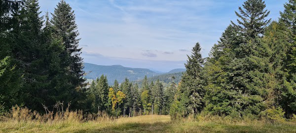 Restaurant Le Grand Haut à Gérardmer, France