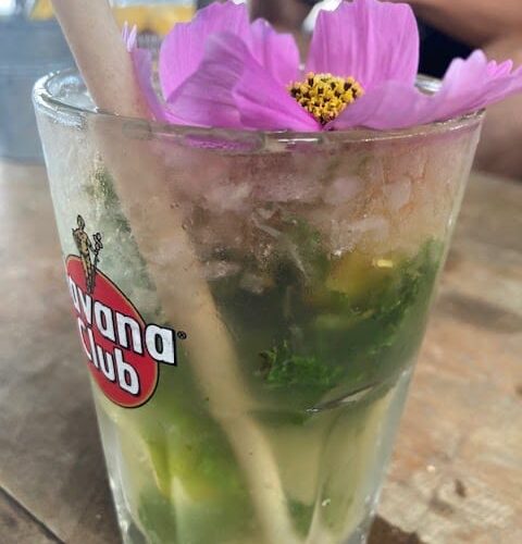 Restaurant Le jungle à Le Barcarès, France