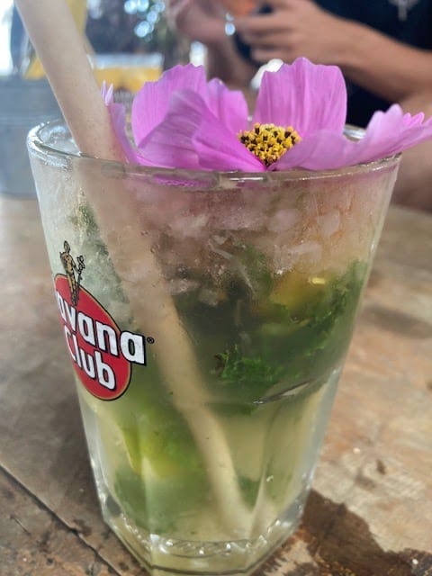 Restaurant Le jungle à Le Barcarès, France