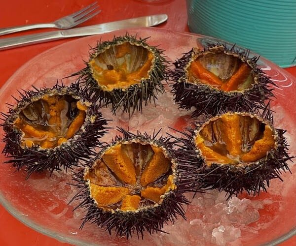 Restaurant Le Petit Bigorneau à Leucate, France