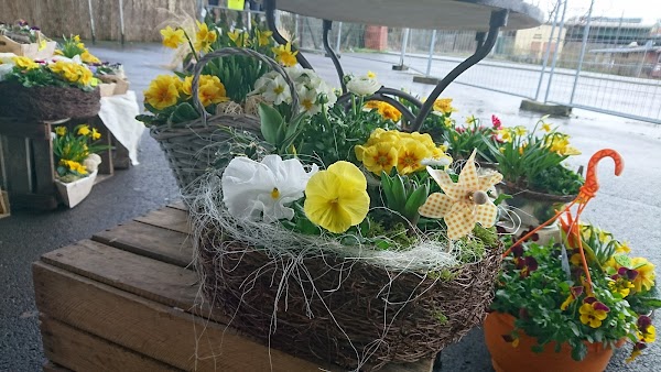 Restaurant Le Petit Chalet à Freyming-Merlebach, France