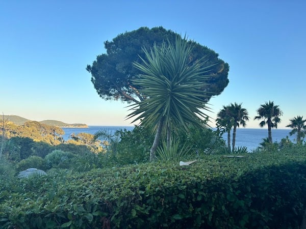 Les Pins Penchés – Restaurant gastronomique, Mariage et réception à Toulon, France