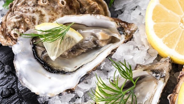 Restaurant LES TERRASSES DE LA ROTONDE à Le Pradet, France