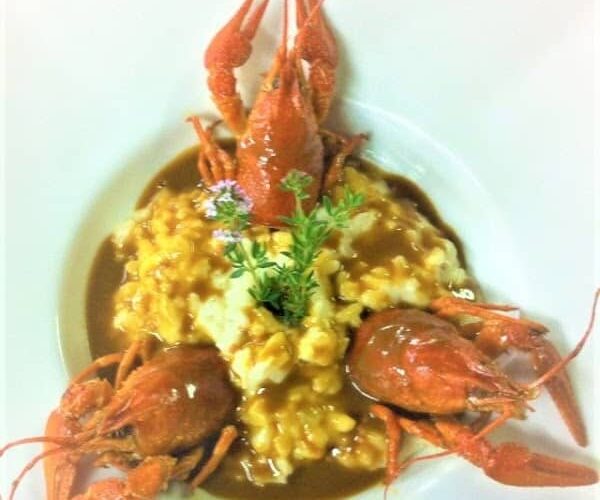 Restaurant L’Oasis du Petit Galibier à Saint-Zacharie, France