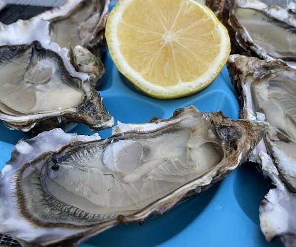 Restaurant Ô Vintage à Antibes, France