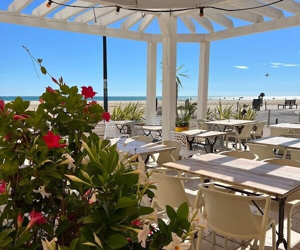RESTAURANT LE BLEU – BEACH BAR & SURF SHOP – LOCATION PADDLE-LEUCATE / LA FRANQUI 🏽 à Leucate, France