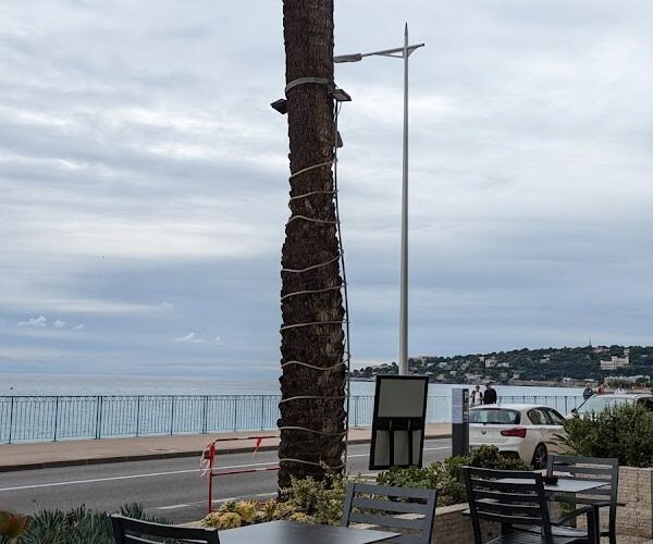 Restaurant le Dauphin à Menton, France