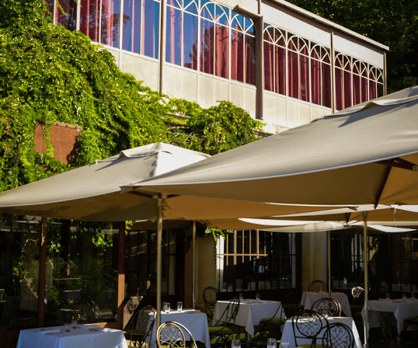 Restaurant Le Grand Arbre à Montpellier, France