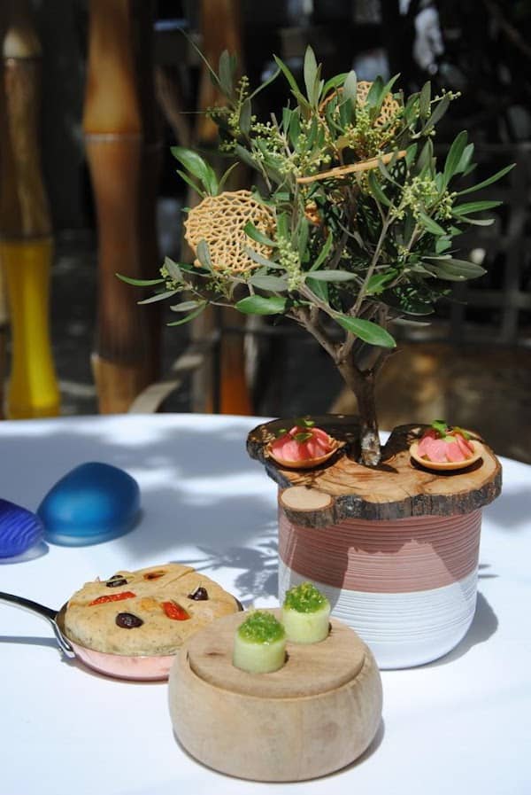 Restaurant Les Terraillers à Biot, France