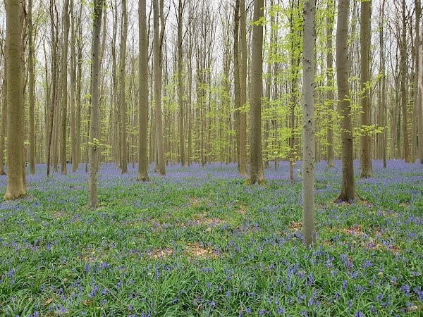 Restaurant ‘t Kriekske à Halle, Belgique