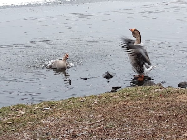 Restaurant Ristorante da calo’s à Creutzwald, France