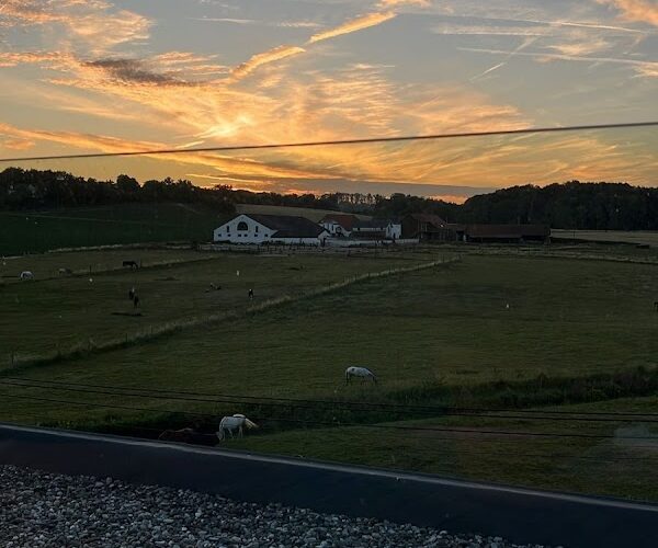 Toit Restaurant à , Belgique