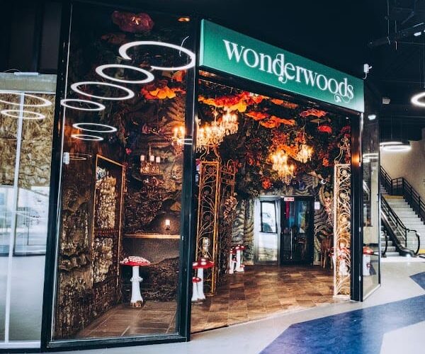 Wonderwoods Restaurant – Ephemera à Serris, France