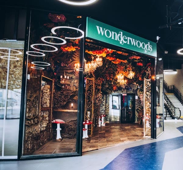 Wonderwoods Restaurant – Ephemera à Serris, France