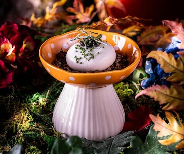 Wonderwoods Restaurant – Ephemera à Serris, France