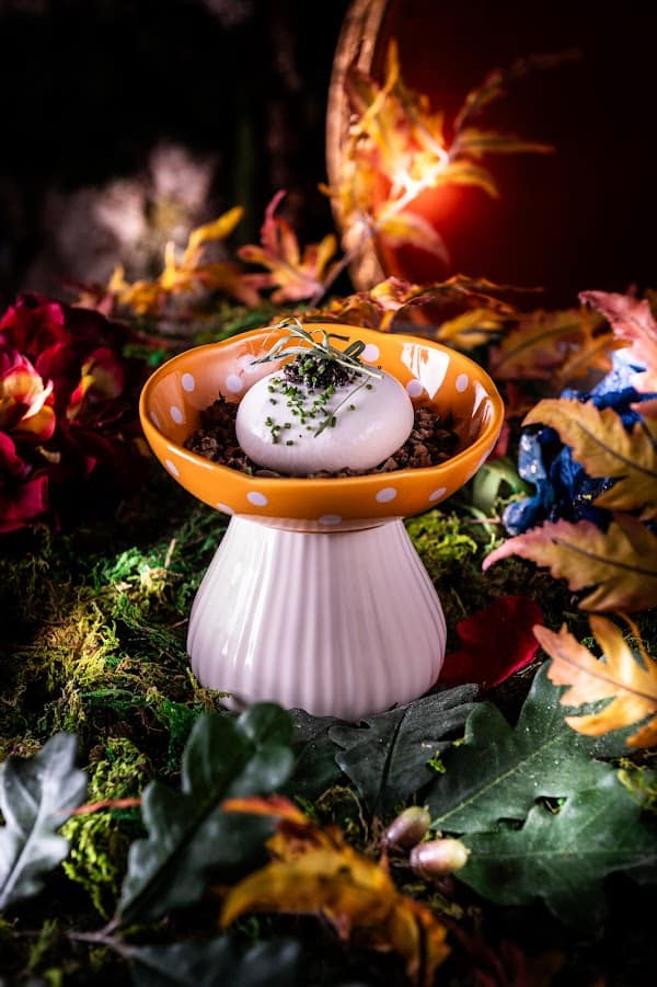 Wonderwoods Restaurant – Ephemera à Serris, France