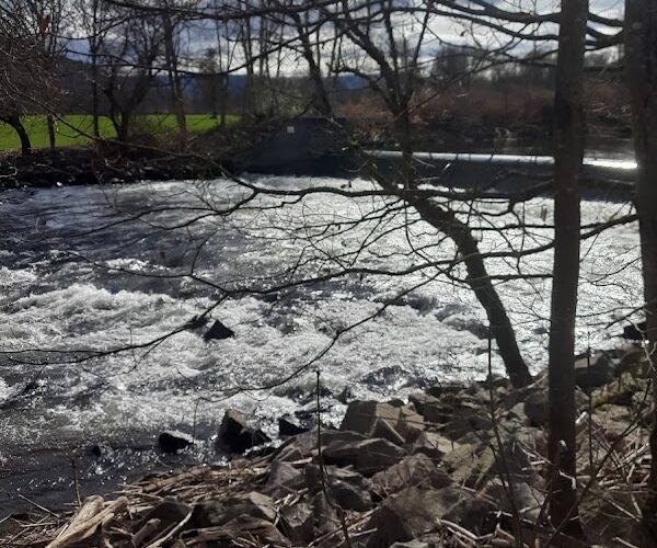 Restaurant Brioche Dorée à Saint-Nabord, France