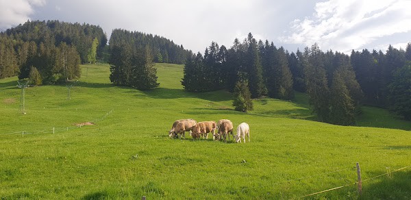 Restaurant Buvette de La Chia à Bulle, Suisse