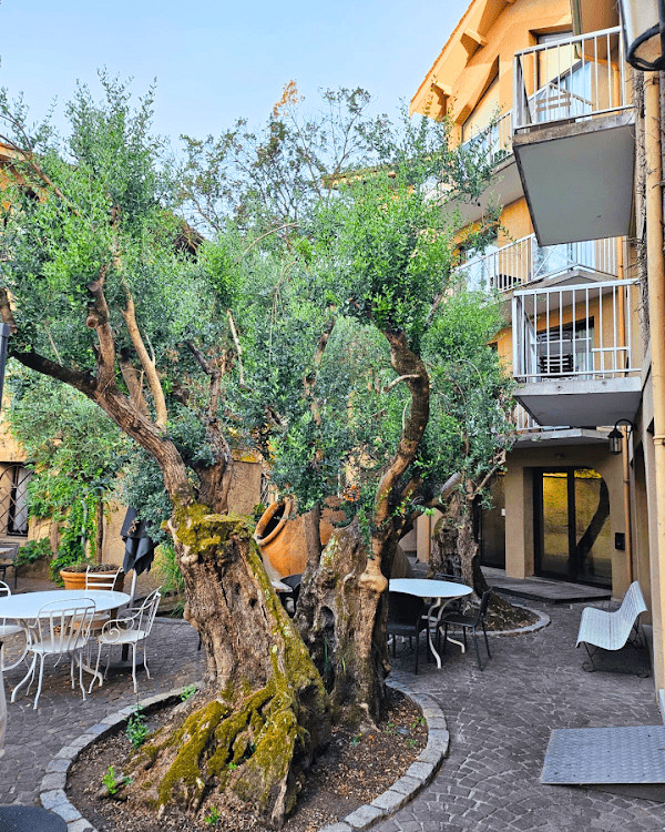 Restaurant Citotel Le Chalet Lyrique à Gradignan, France