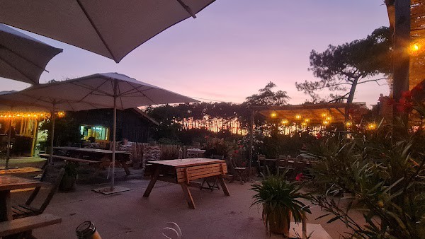 Restaurant Dégustation Le Bout du Monde à Lège-Cap-Ferret, France