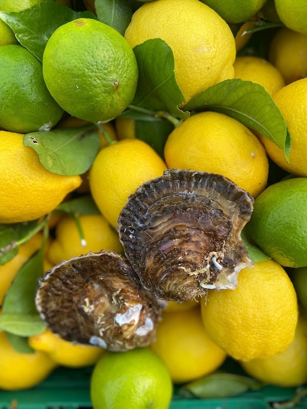 Restaurant Dégustation Le Bout du Monde à Lège-Cap-Ferret, France