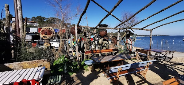Restaurant Emile et une huître à Lège-Cap-Ferret, France
