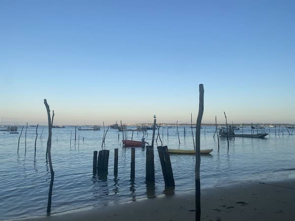Restaurant Emile et une huître à Lège-Cap-Ferret, France