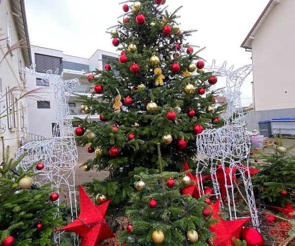 Restaurant Hostellerie du Jardin à Illkirch-Graffenstaden, France