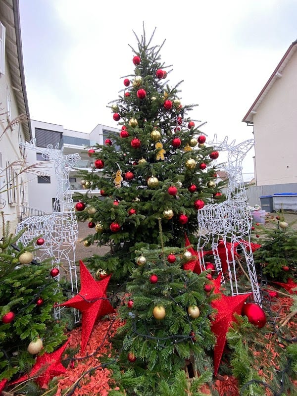 Restaurant Hostellerie du Jardin à Illkirch-Graffenstaden, France