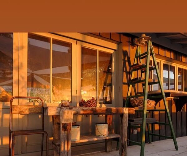 Restaurant La Canfouine au Canon à Lège-Cap-Ferret, France