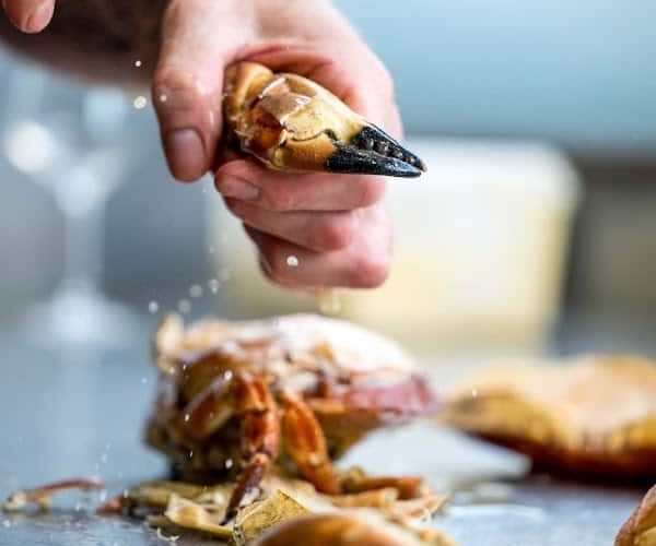 Restaurant La Taverne Brasserie Saint-Etienne à Saint-Étienne, France