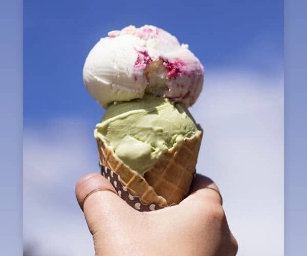 Restaurant La Typolia à Le Porge, France