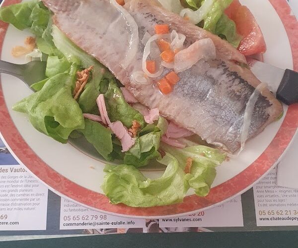 Restaurant Le Bar à Thym à Millau, France