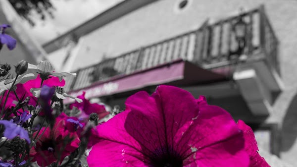 Restaurant Le Café du Midi à Saint-Firmin, France