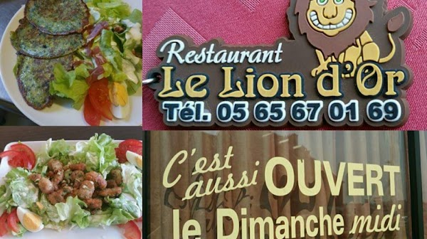 Restaurant Le Lion d’Or Rodez à Rodez, France