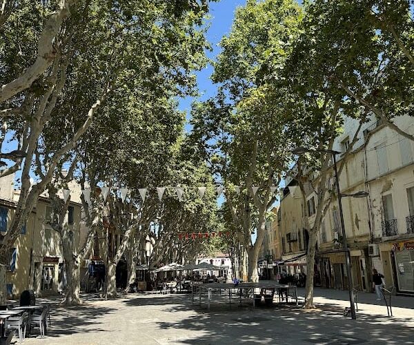 Restaurant Le Sérac à Istres, France