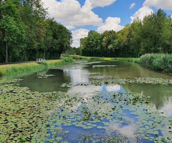 Restaurant L’Ecluse n°8 à Saint-Mesmin, France