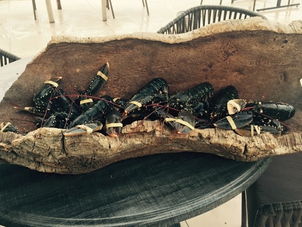 Restaurant Les Ombrelles à Martigues, France