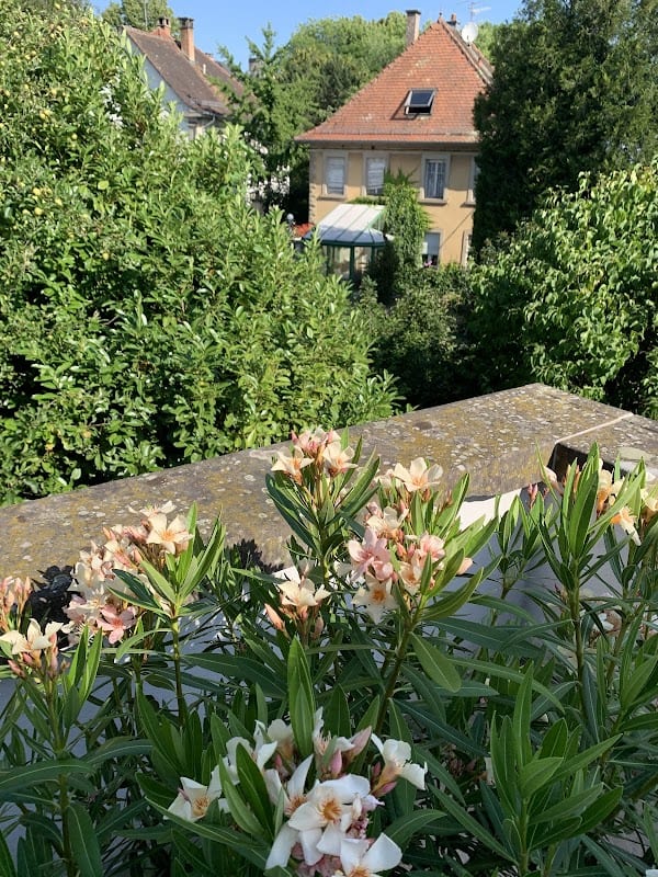 Restaurant O’mac2 à Phalsbourg, France