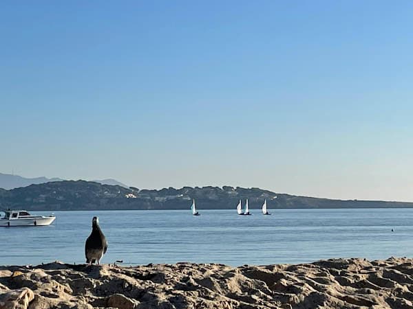 Restaurant Palm-b à Bandol, France