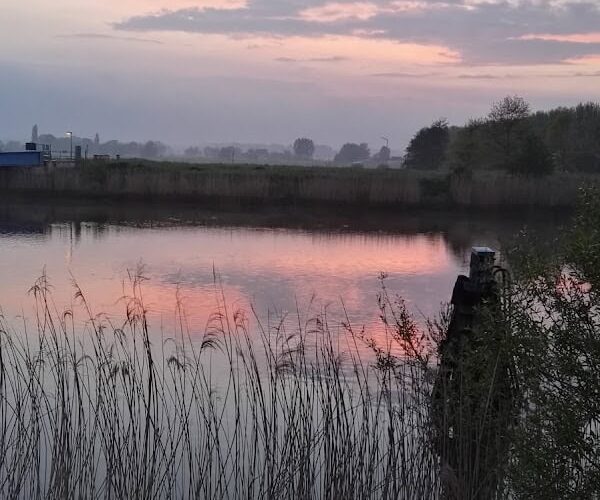 Restaurant Appelsveer à Dendermonde, Belgique