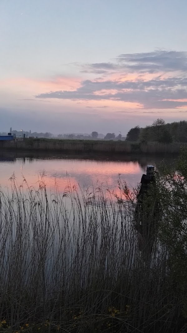 Restaurant Appelsveer à Dendermonde, Belgique