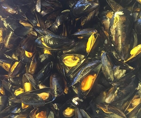 Restaurant Aux Moules à Hourtin, France